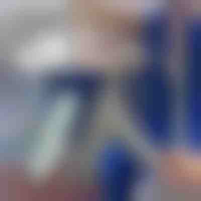 Limpiador de polvo telescópico | ARTICLEAN