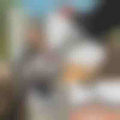 Herramienta amoladora especial para motosierra + lijadora GRINNEX