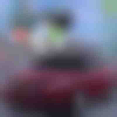 ¡La mejor protección del verano para coches! | CARCOVER